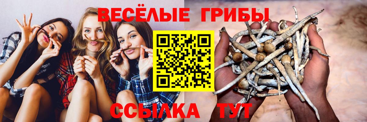 Ржев  Псилоцибиновые грибы прущие грибы  Вход с VPN 